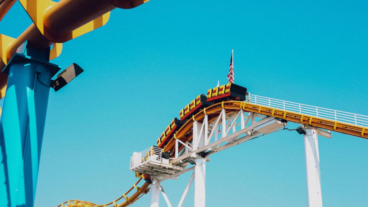 Growing Prospering Your Company Through a Roller Coaster Economy